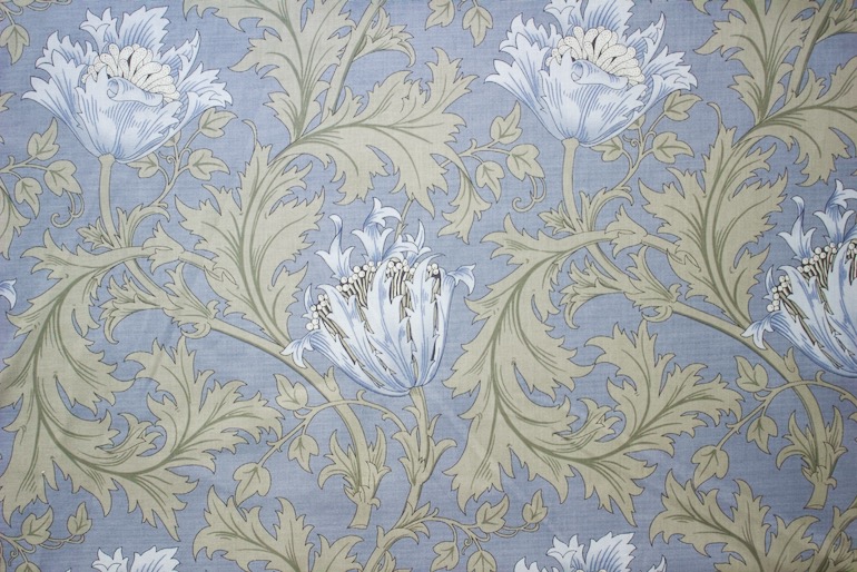 Ji Morris アネモネ<br />ライトブル-